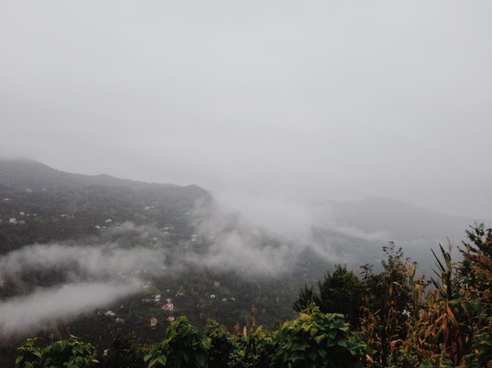 Free Image of Foggy View of Mountain With Trees 