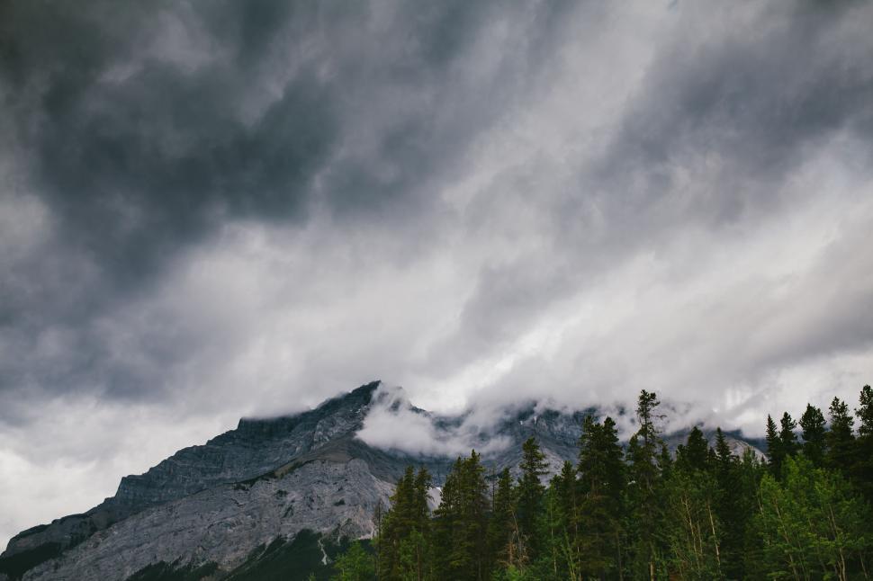 Free Image of Cloudy Sky Over Forest With Mountain in Background 