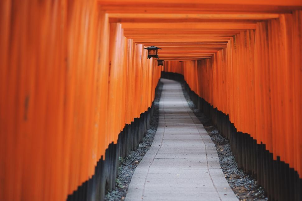 Free Image of Lined Walkway With Orange Gates Leading Into the Distance 