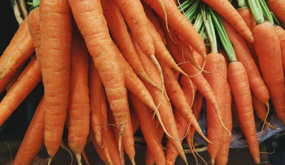 Free Image of A Pile of Carrots Arranged Neatly 