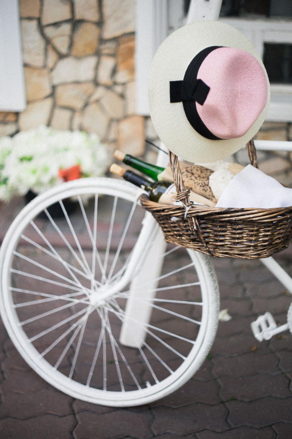 Free Image of Stuffed Animal in Basket on Bike 