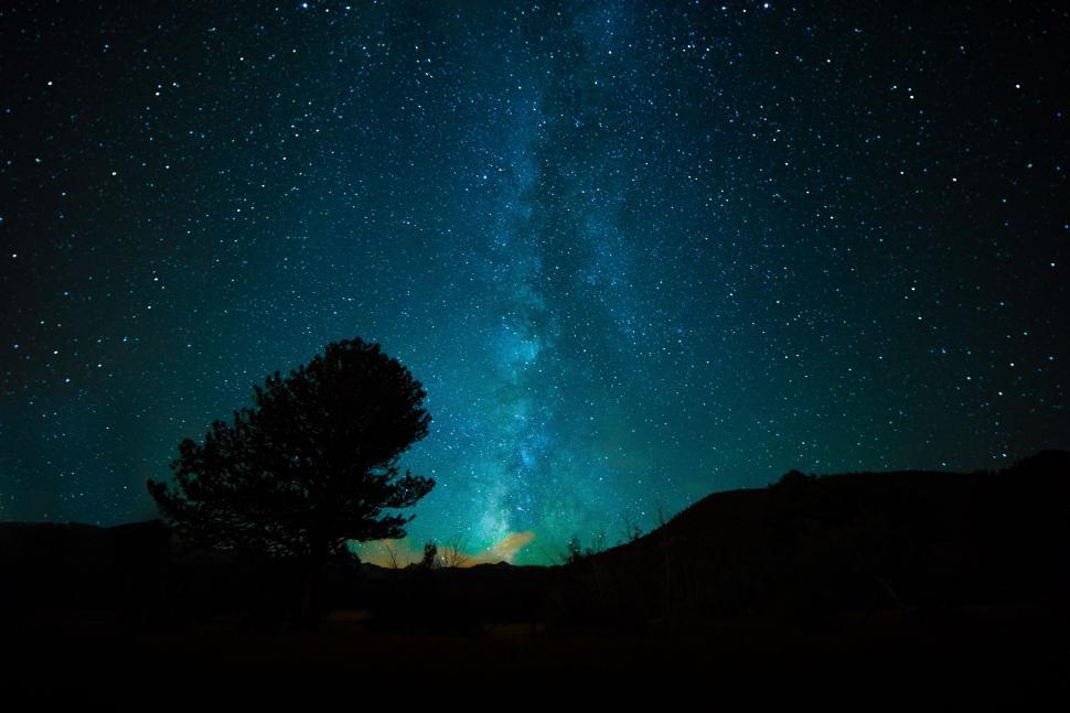 Free Image of Star-Filled Night Sky Above Tree 