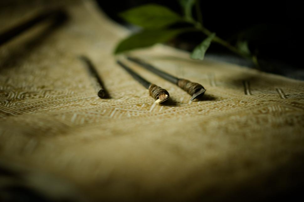 Free Image of Bed With Plant Close-up. 
