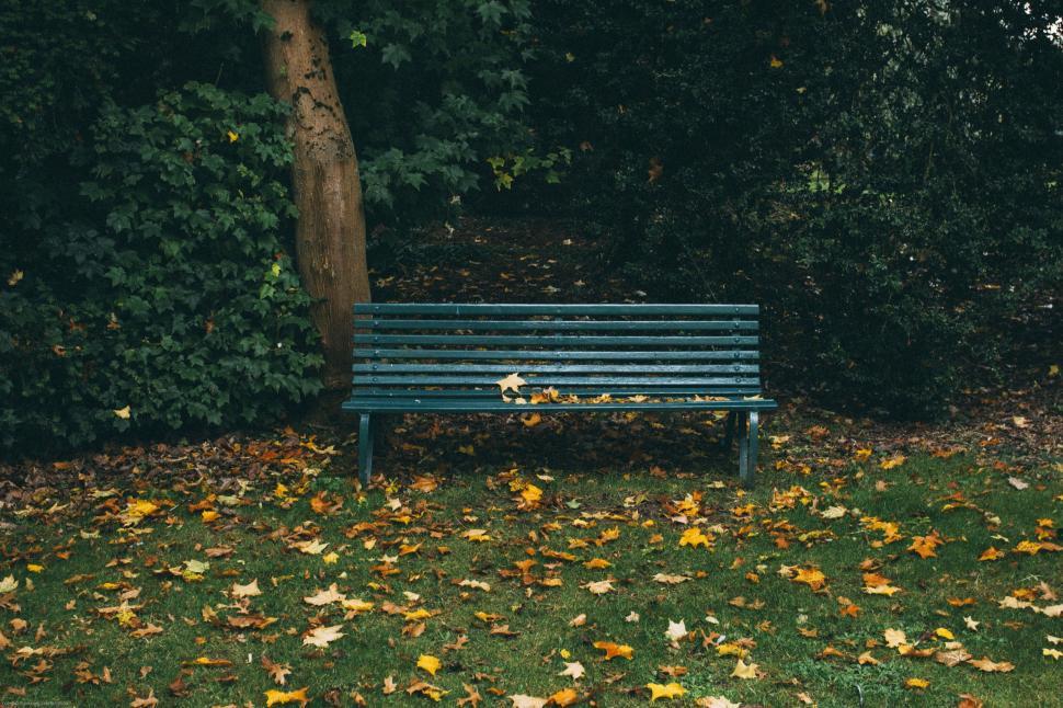 Free Image of Blue Bench in Park 