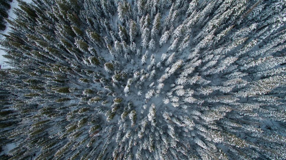 Free Image of Aerial View of Snow Covered Field 