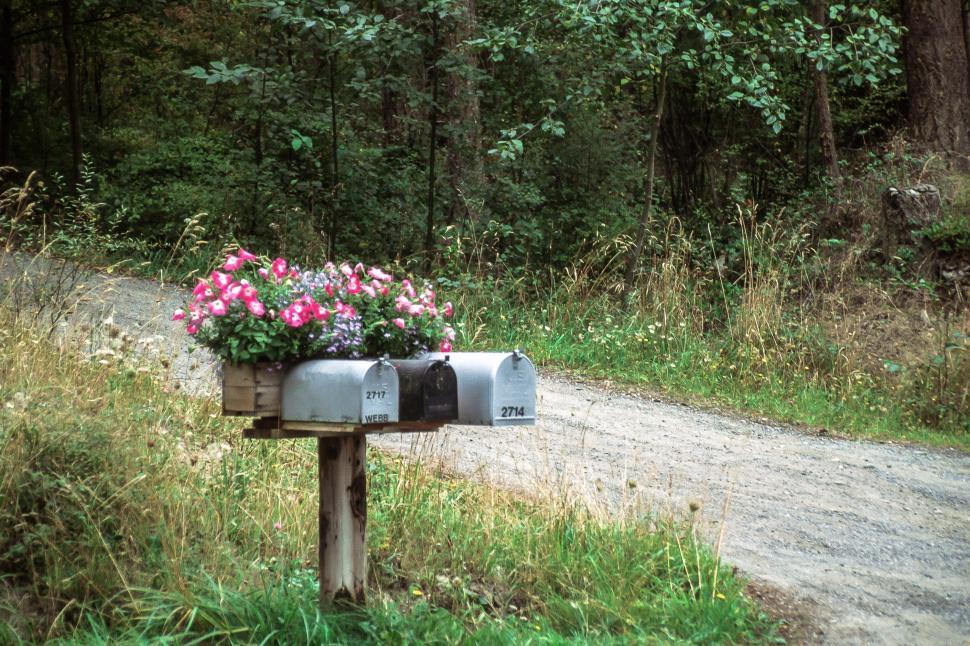 Free Image of Mailbox with flowers 