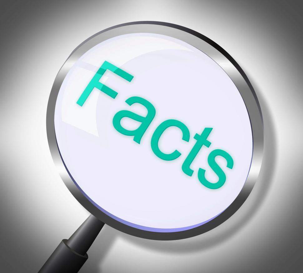 Free Image of Facts Magnifier Represents Knowledge Searching And Info 