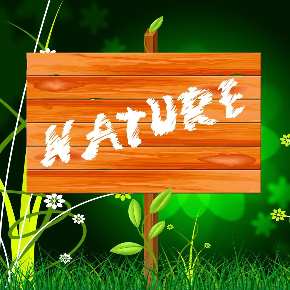 Free Image of Natural Nature Means Rural Green And Genuine 