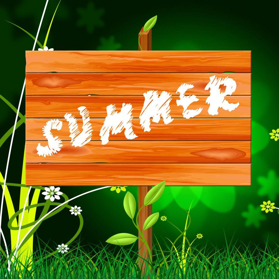 Free Image of Nature Summer Represents Outdoors Rural And Natural 