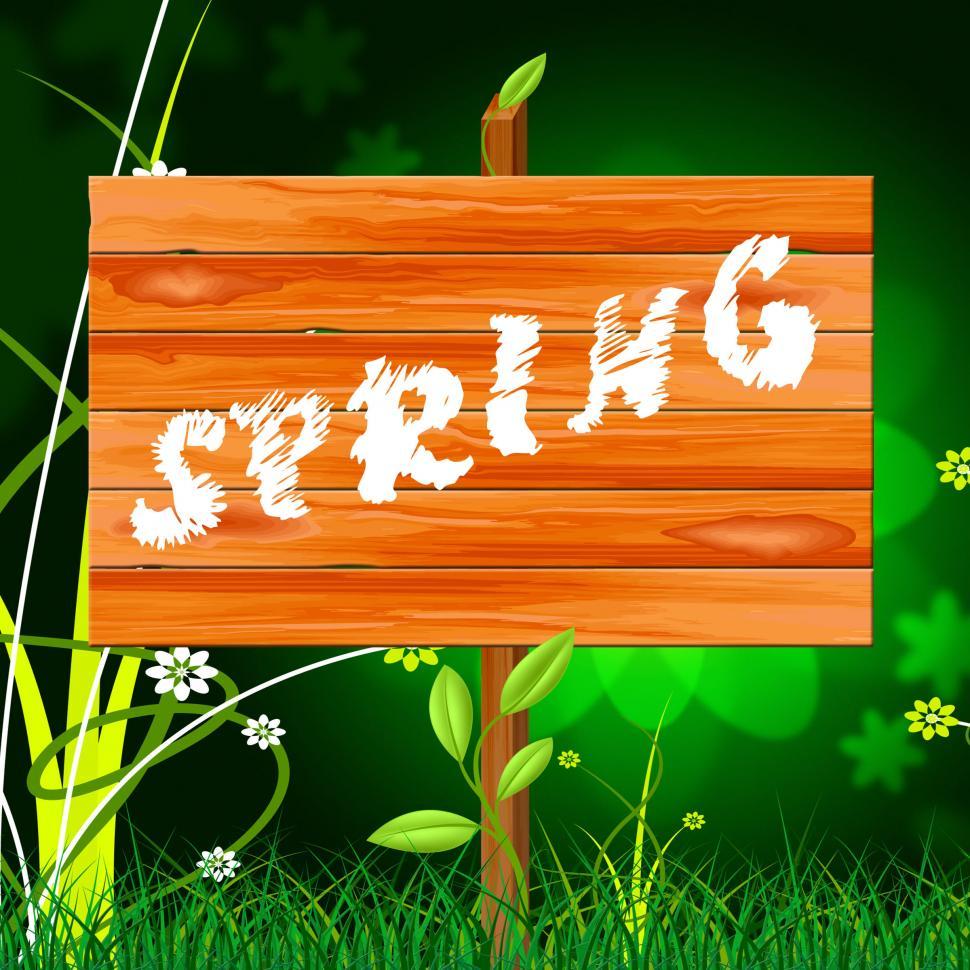 Free Image of Spring Nature Shows Environment Warm And Warmth 