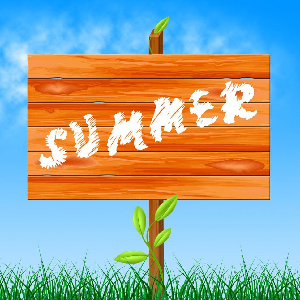 Free Image of Warm Summer Means Season Environment And Hot 