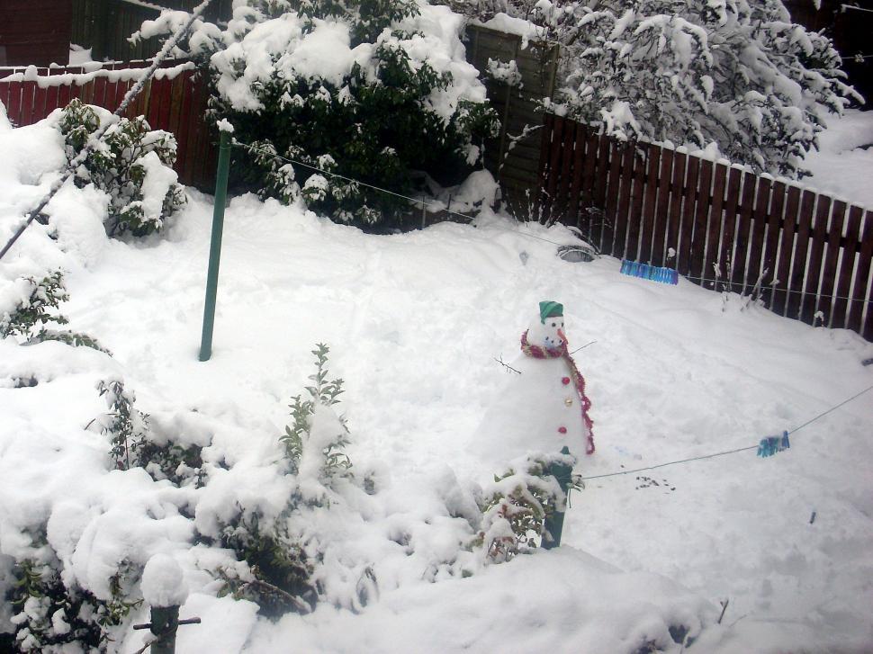 Free Image of Snowman in a garden 
