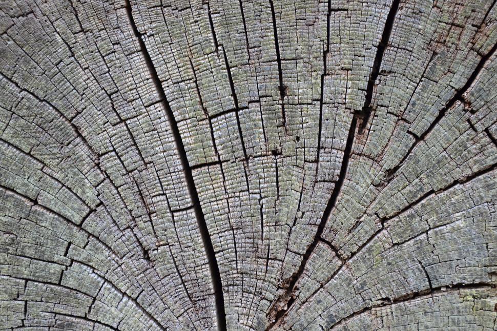 Free Image of Old cracked wood  