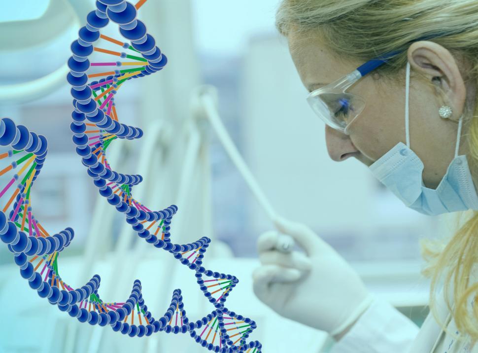 Download Free Stock Photo of Female Medical Doctor Analyzing DNA strands 