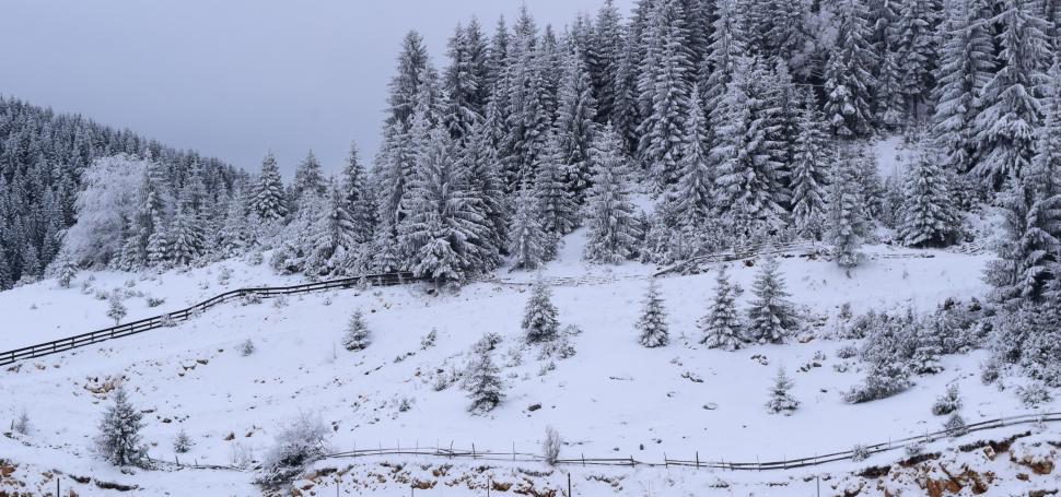 Free Image of Wide landscape of mountains and forests covered with heavy snow  