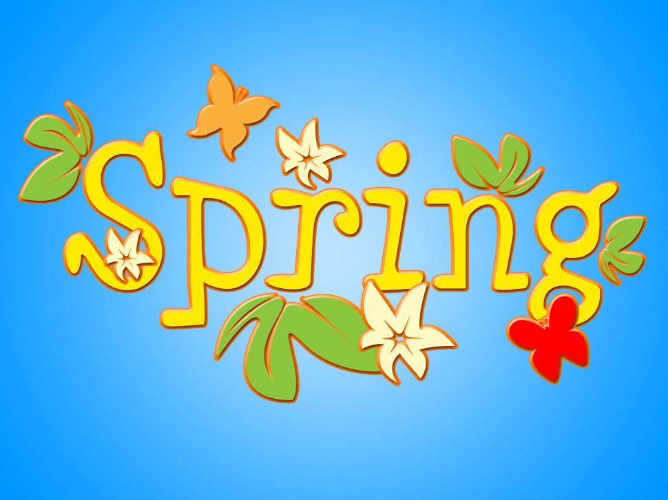 Free Image of Spring Flowers Shows Flora Warmth And Bloom 