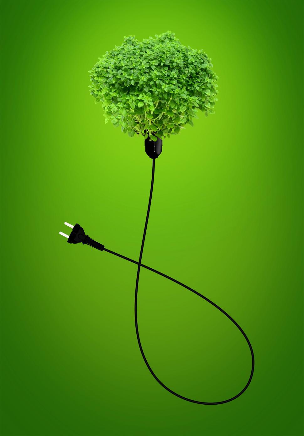 Free Image of Clean Energy Concept - A Green Power Plug 
