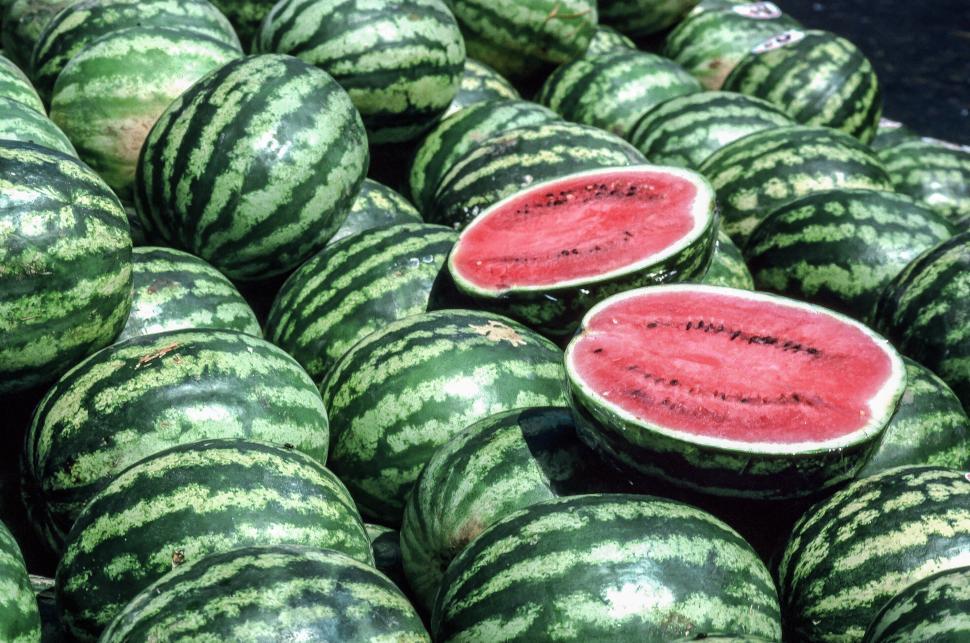 Free Image of Watermelons at Faneuil Hall Marketplace 