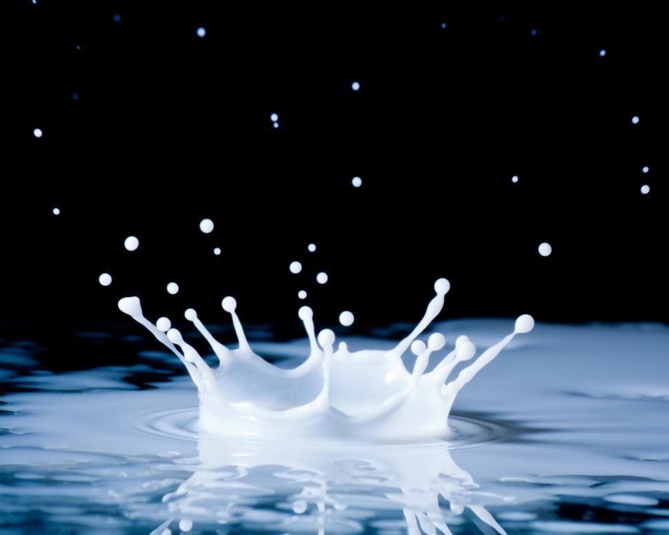 Free Image of Milk  