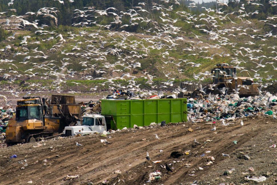 Free Image of Landfill Equipment 