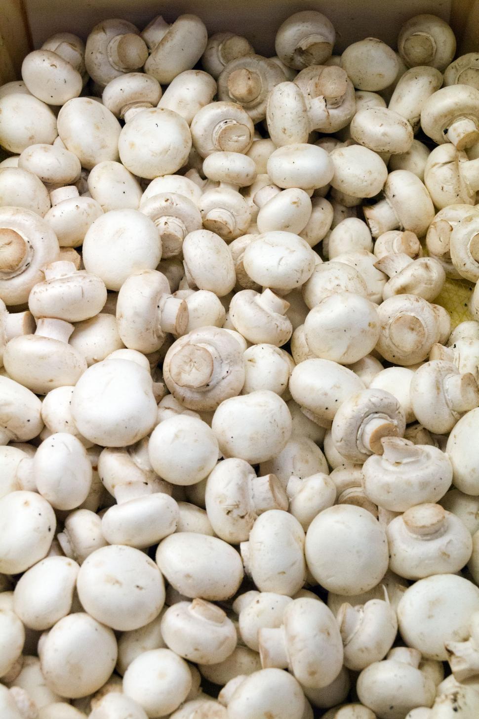 Free Image of Button Mushrooms 