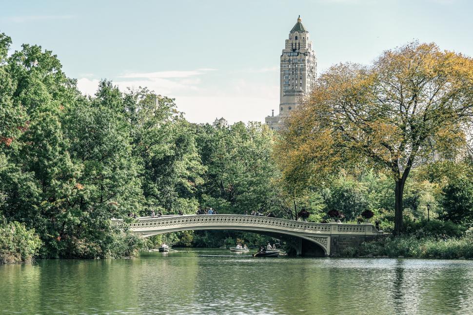 Free Image of Boats and Bridge in Central Park 
