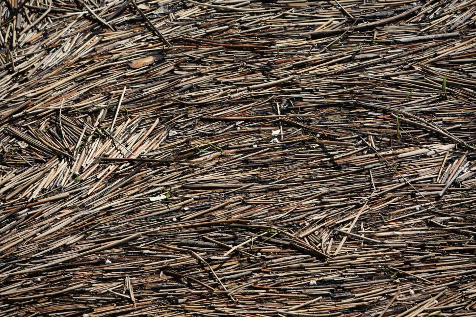 Free Image of Close Up View of a Pile of Straw 