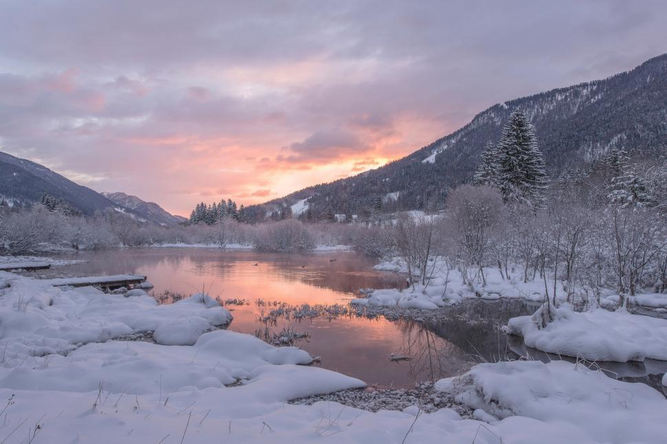 Free Image of Purple Sunrise at the spring of Zelenci. River Sava Origin 