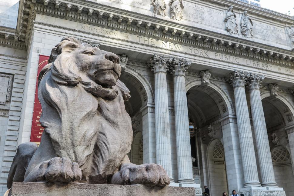 Free Image of Lion statue at the New York Public Library 