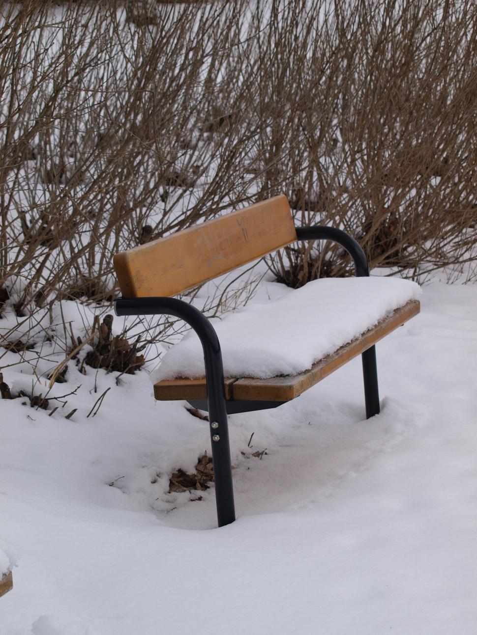 Free Image of Bench covered with snow  
