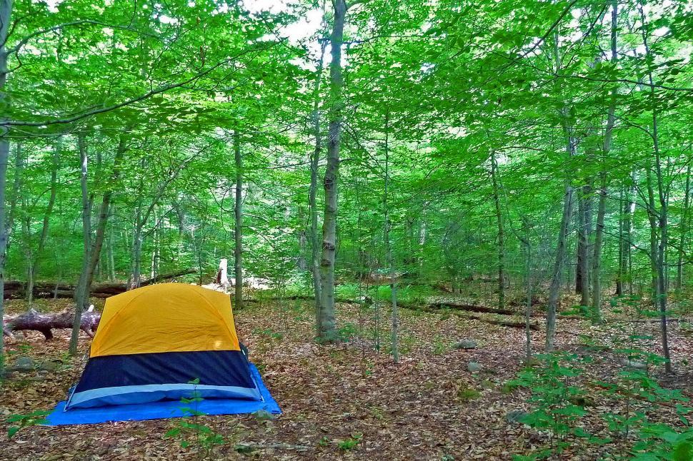 Download Free Stock Photo of Tent in the Woods 