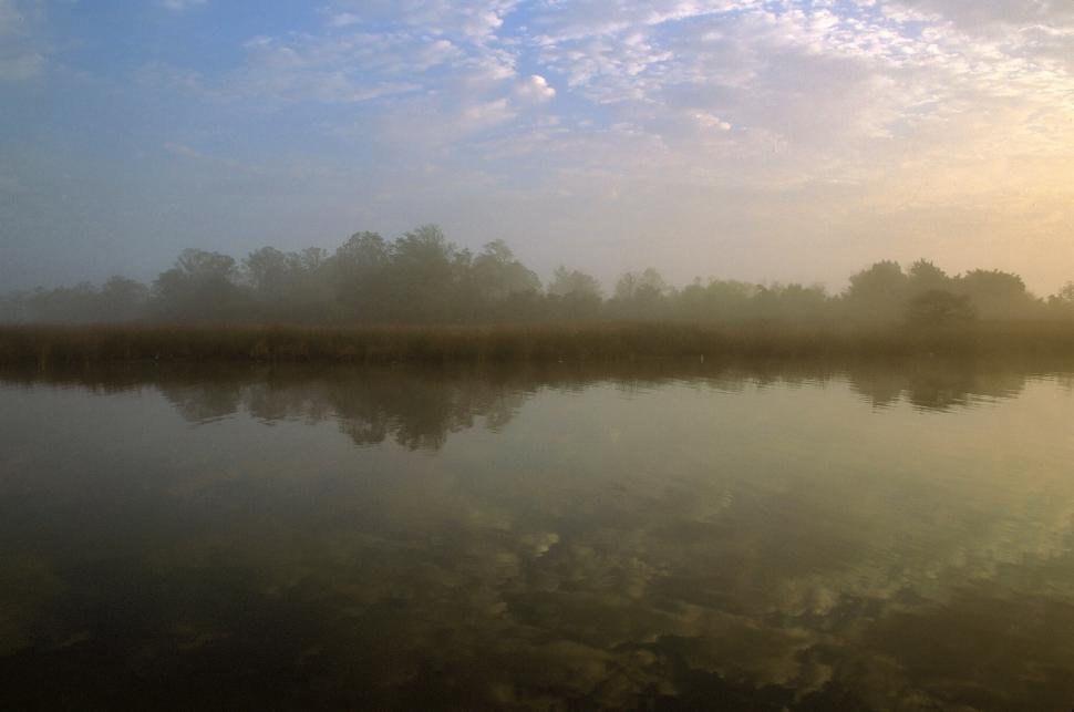 Free Image of Apalachicola River 