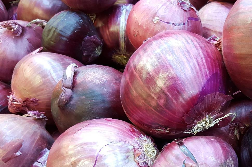 Free Image of Red Onions 