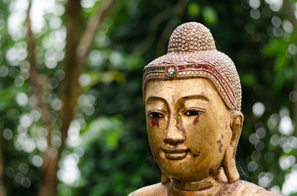 Free Image of Buddha Statue Standing in Front of Trees 