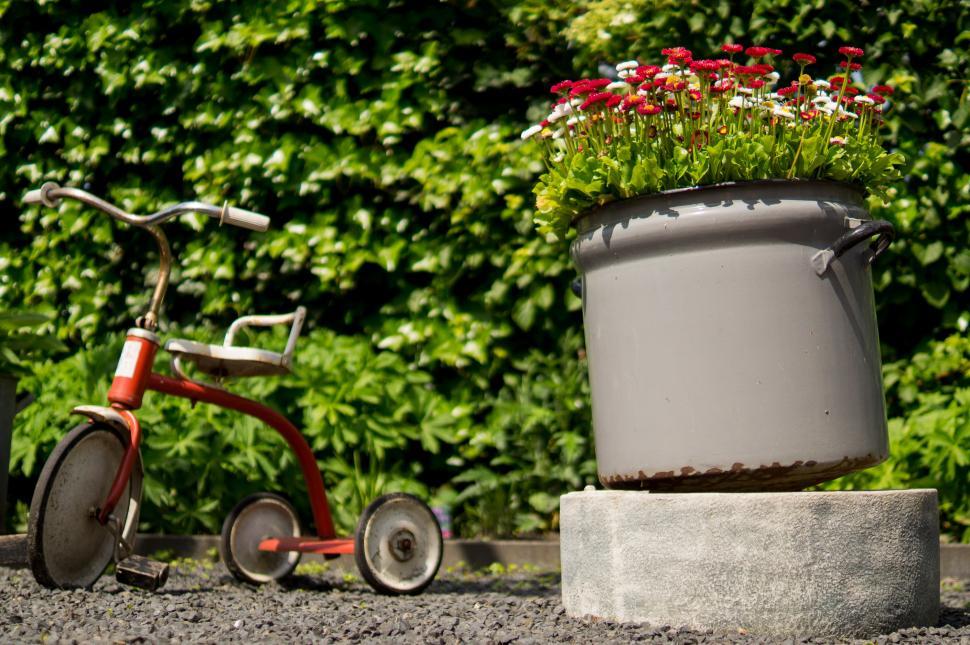 Free Image of Red Bike Parked Next to Potted Plant 