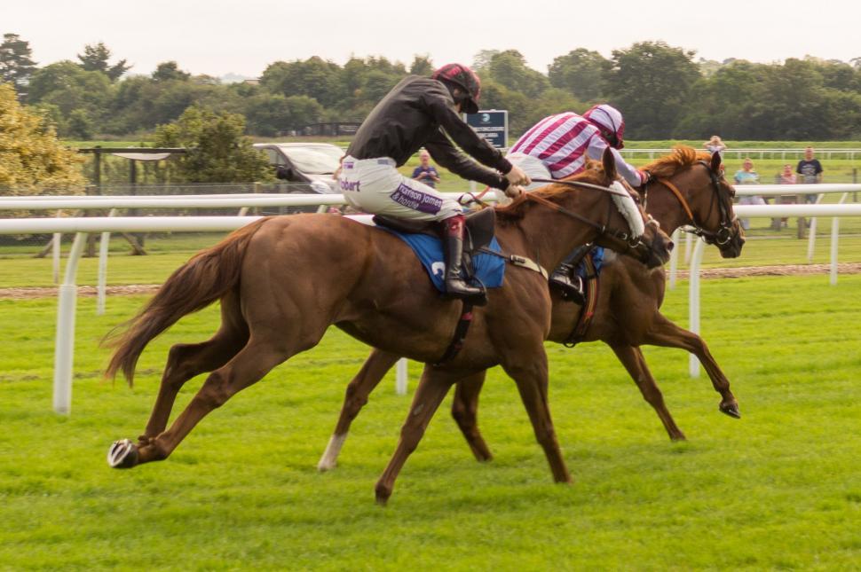 Free Image of Two Jockeys Racing Horses on a Grass Track 