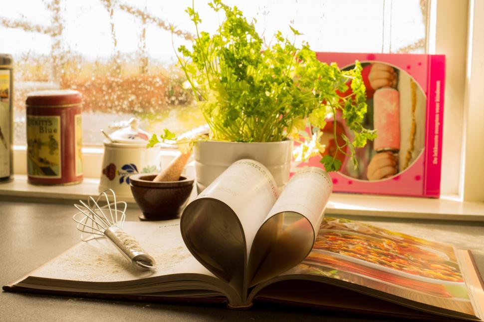 Free Image of Open Book on Table Beside Plant 