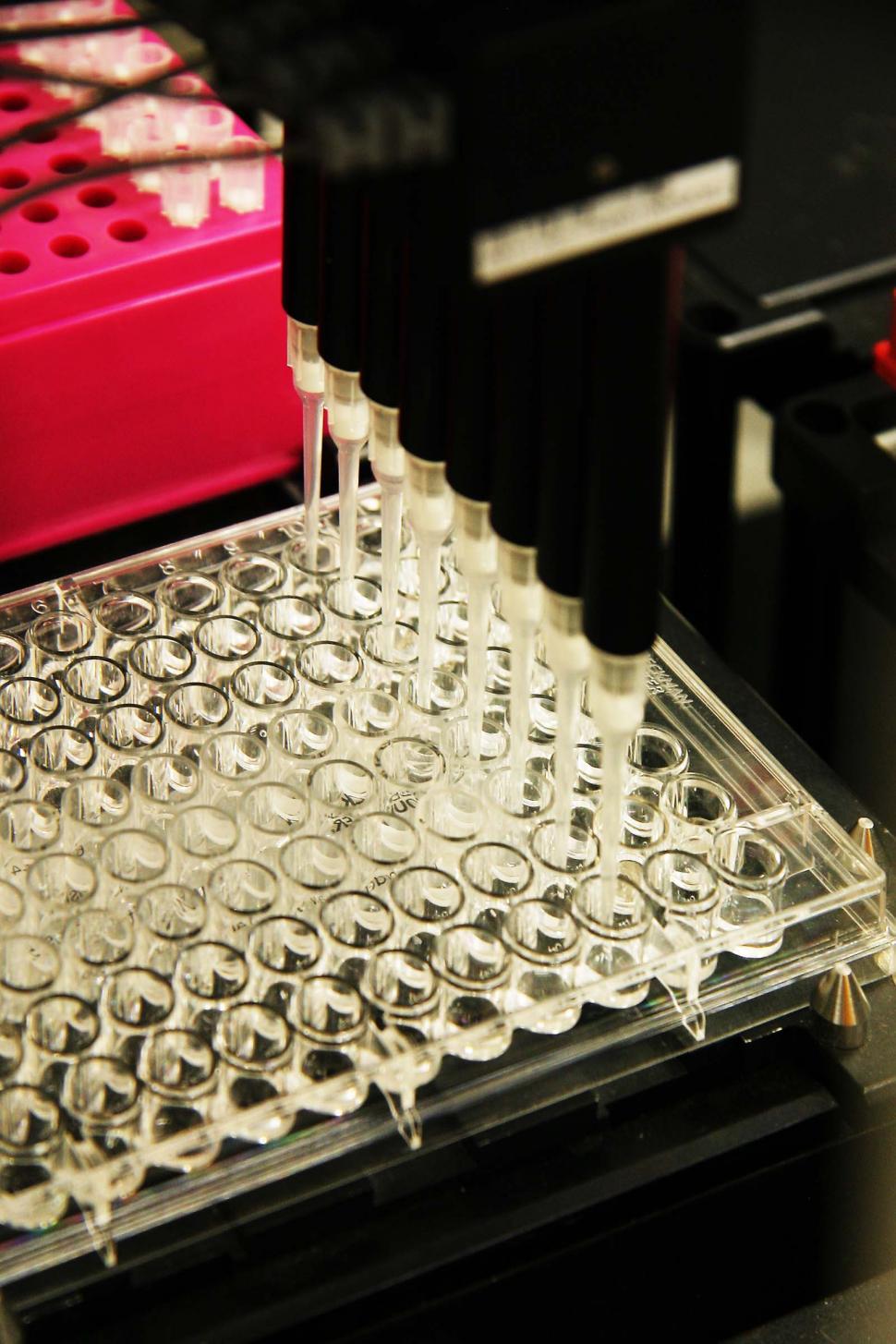 Free Image of Pipette Automation 