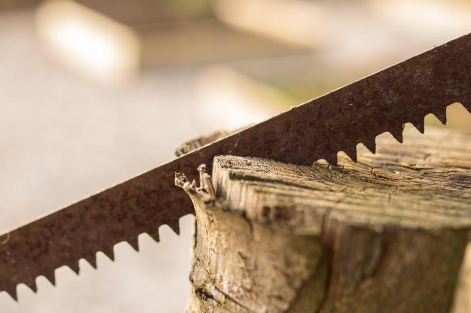 Free Image of Close Up of Saw Cutting Wood 