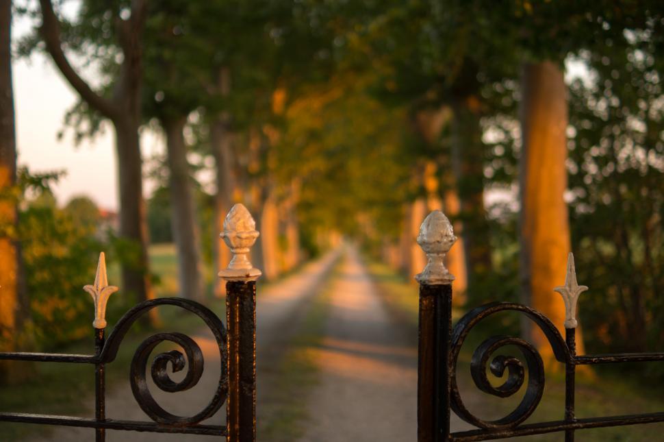 Free Image of Wrought Iron Gate With Tree Lined Road 