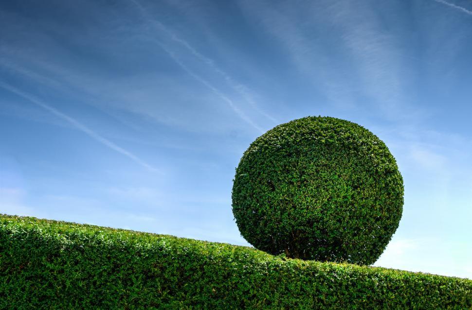 Free Image of Large Green Grass Ball on Hill 