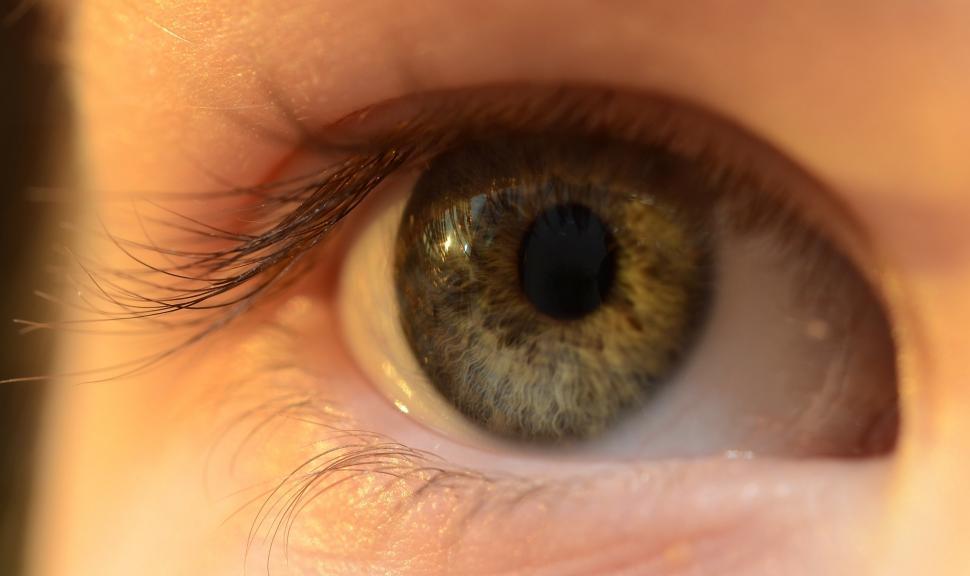 Free Image of Close Up of Persons Brown Eye 