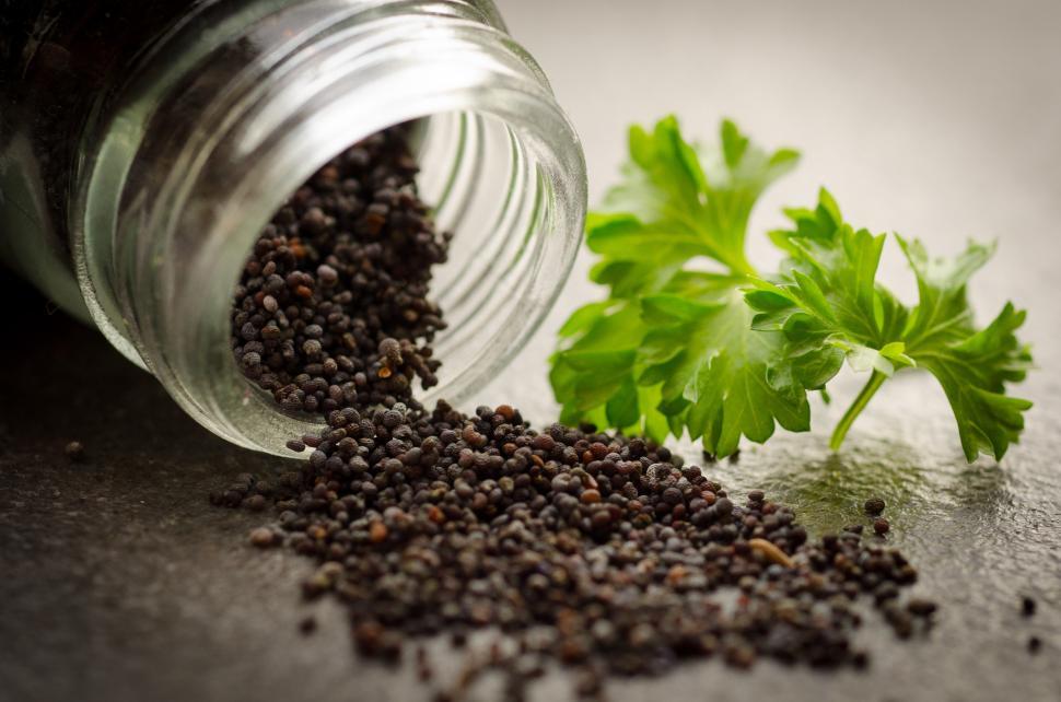 Free Image of Glass Jar With Black Seeds and Parsley Sprig 