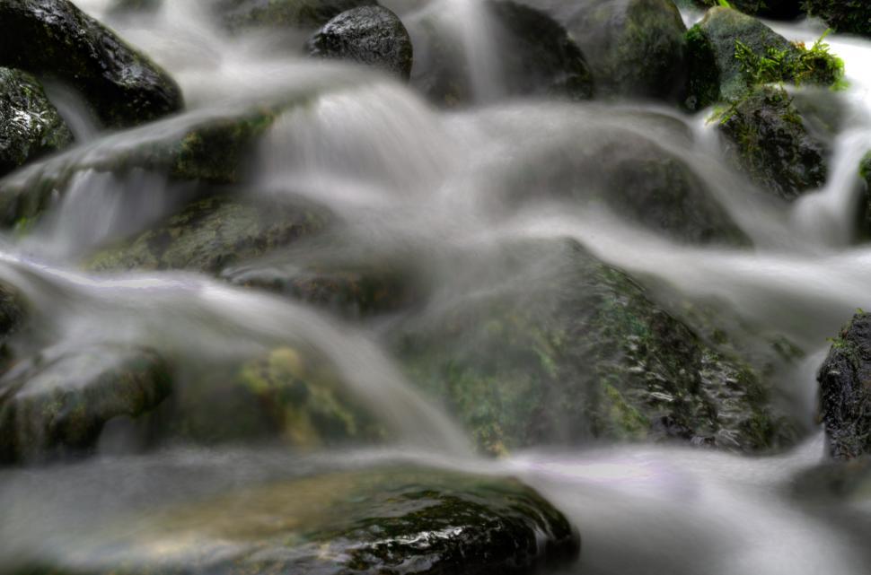 Free Image of Water Stream Flowing Over Rocks in a Forest 
