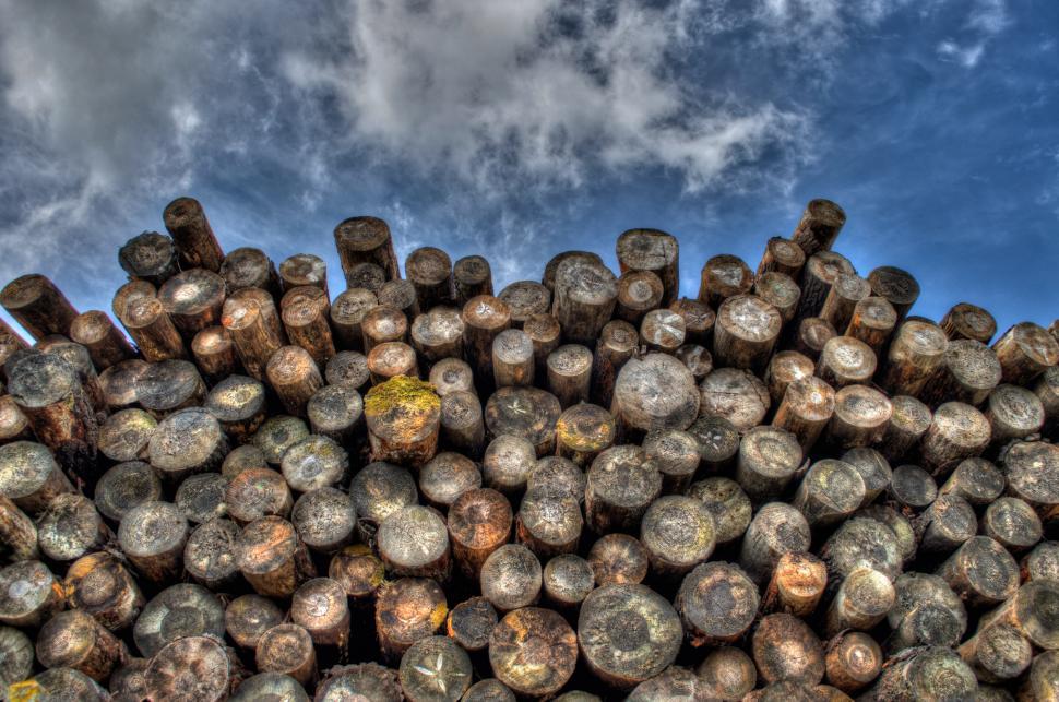 Free Image of Stack of Logs Under Cloudy Blue Sky 