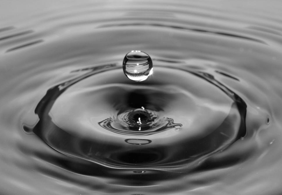 Free Image of Capturing the Essence: A Black and White Drop of Water 