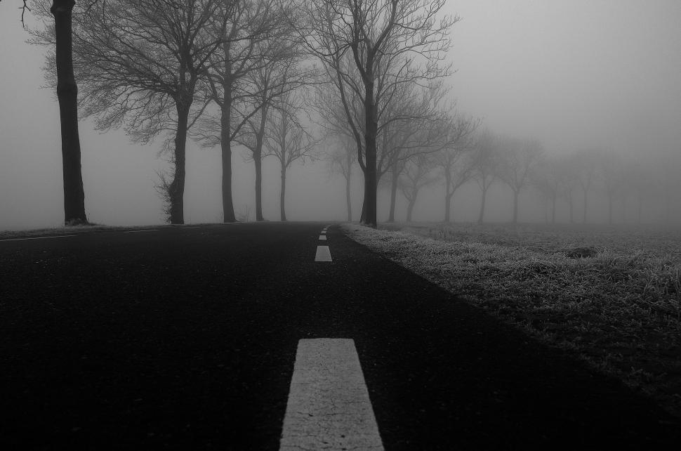 Free Image of Foggy Road in Black and White 