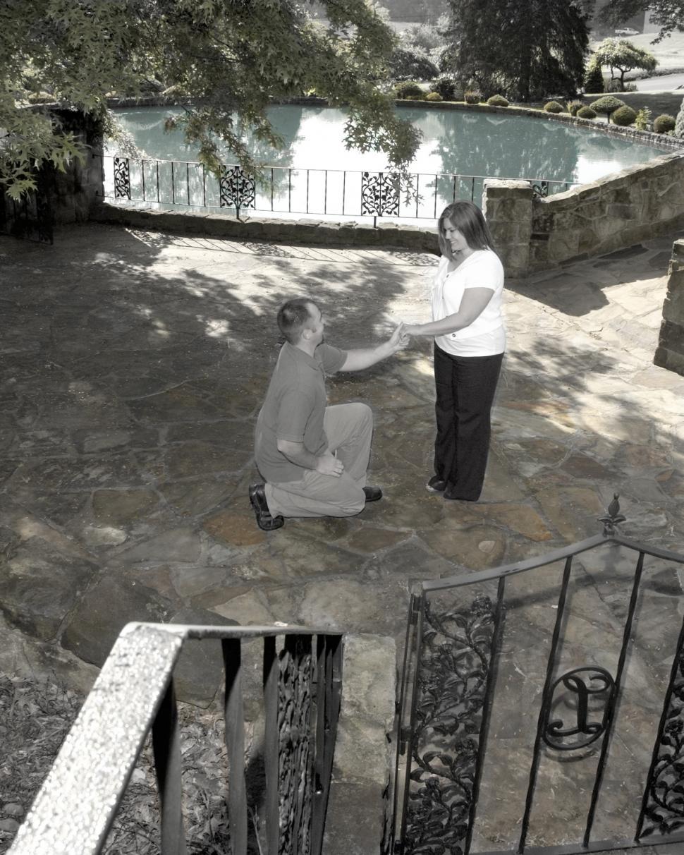 Free Image of The Proposal 