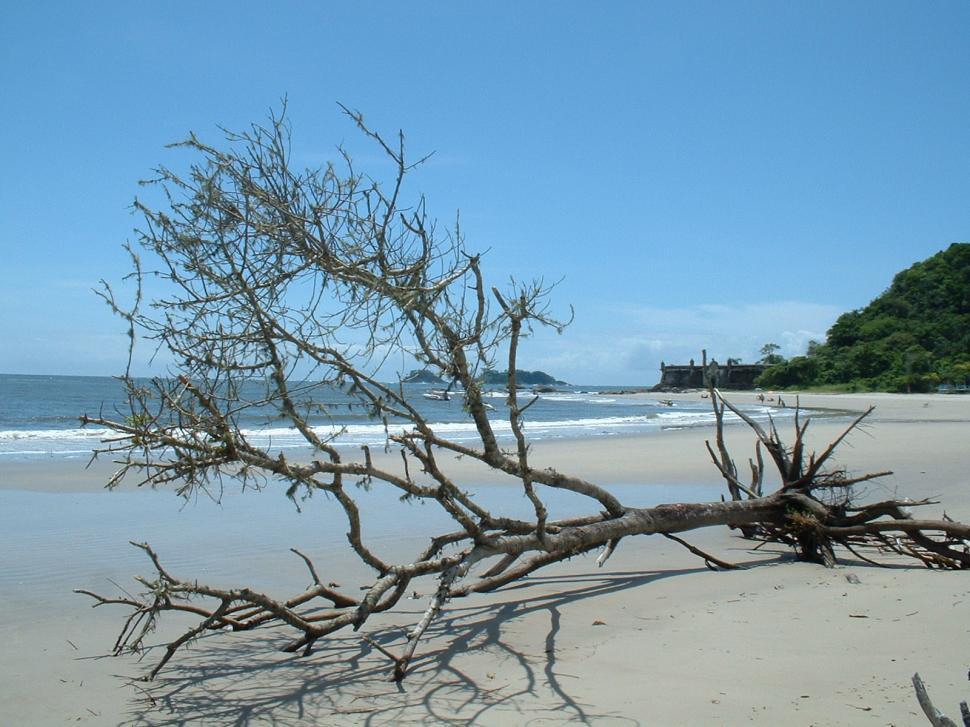 Free Image of Ilha do Mel, island beach 