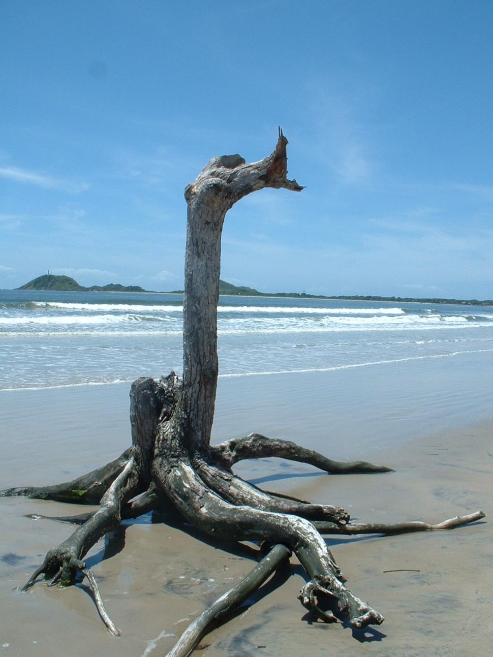 Free Image of Ilha do Mel, island beach 